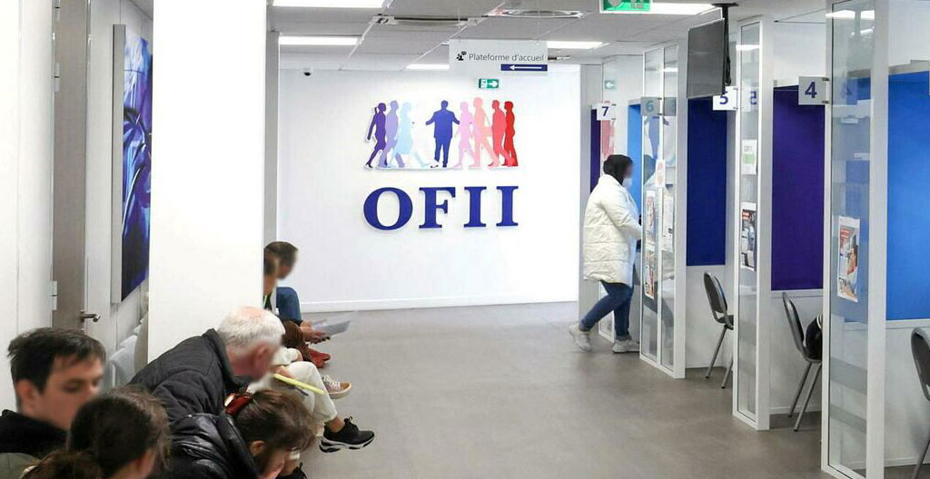Consultant spécialisé complétant un dossier d'autorisation de travail OFII avec formulaires officiels français, sur un bureau d'agence de recrutement international